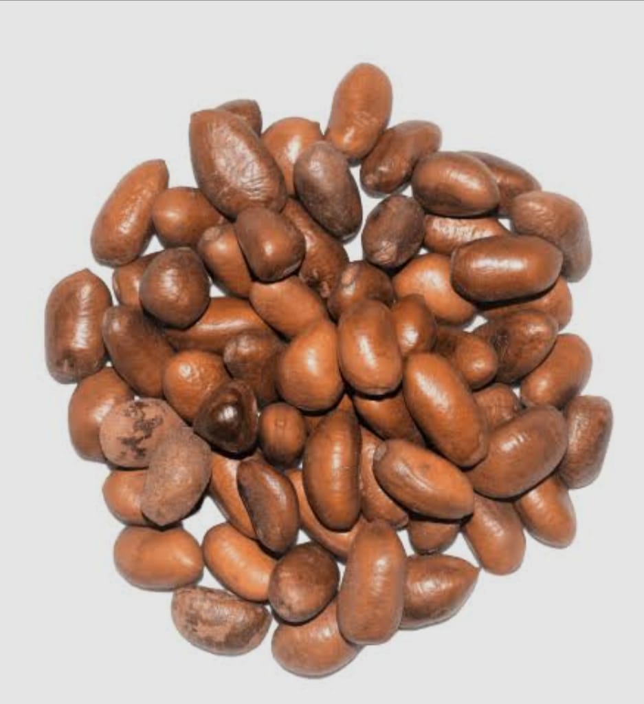 EPICES , GRAINES & CONDIMENTS