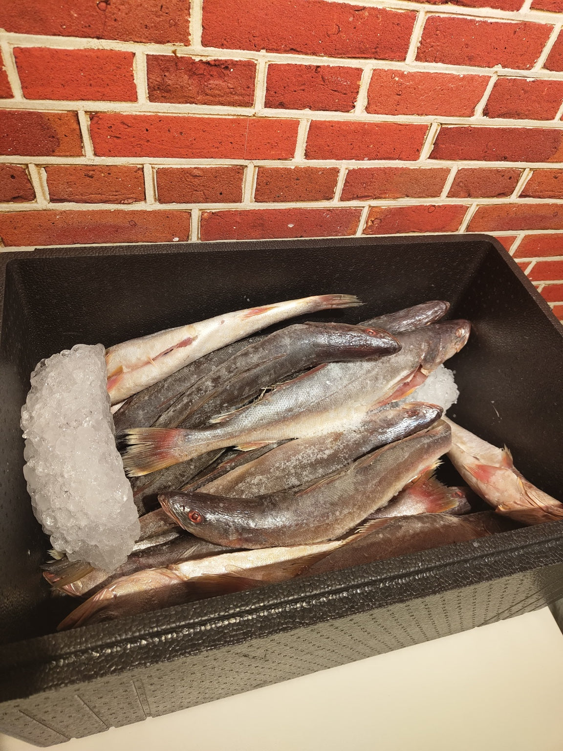 POISSONS FRAIS ET PRODUITS DE LA MER