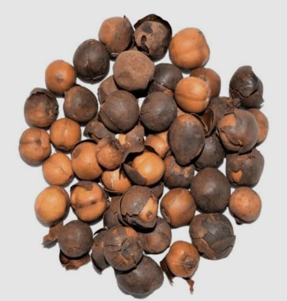 Rondelles  200G
