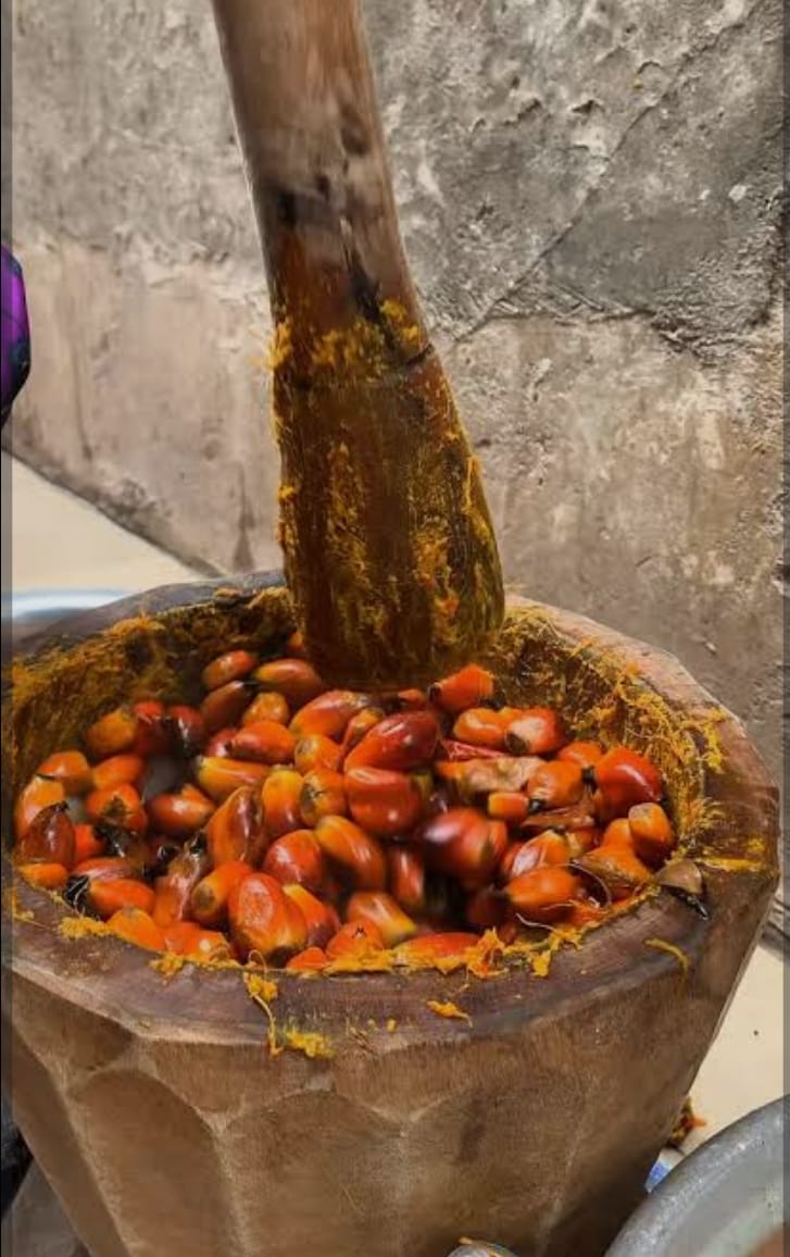 Pulpe de noix pressée  300g