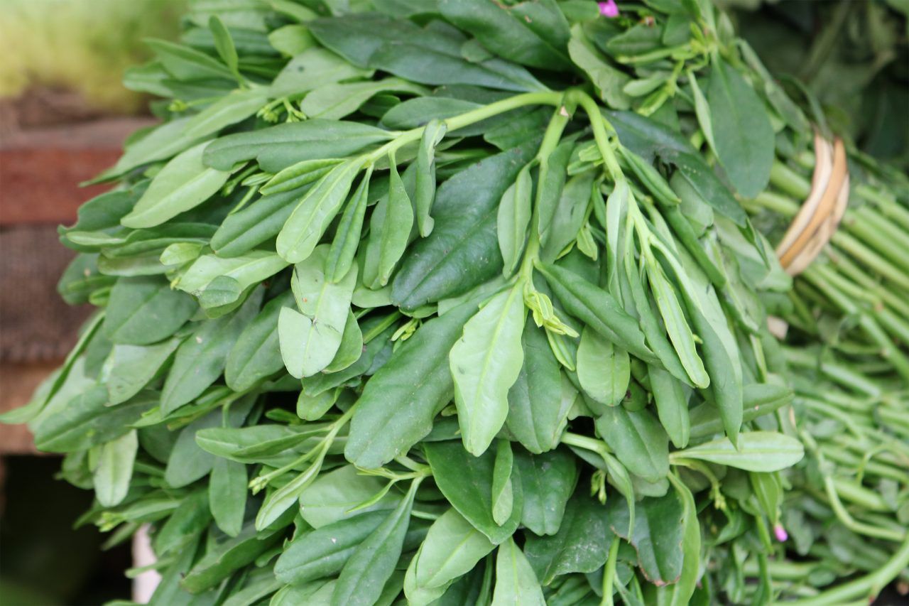 WATERLEAF 250G