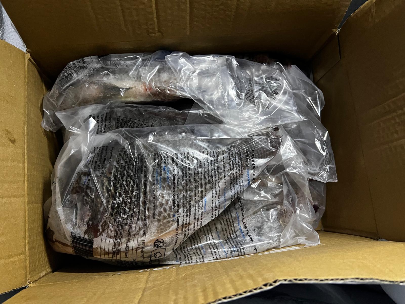 CARTION DE TILAPIA 4KG